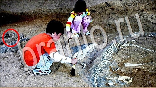 Игра Где же кот ответы Уровень 8057