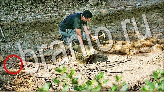 Игра Где же кот подсказки Уровень 8058