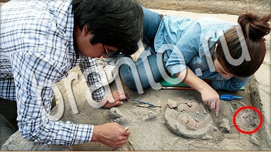 игра Где же кот помощь Уровень 8059