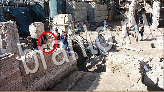 Игра Где же кот прохождение Уровень 8060