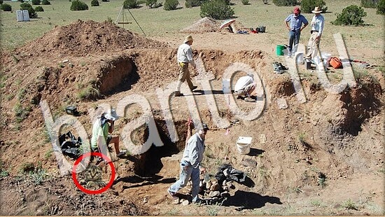 прохождение на игру Где же кот Уровень 8061