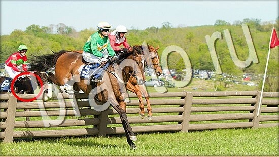 ответы Где же кот Уровень 8065