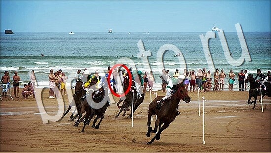 ответы для игры Где же кот Уровень 8067