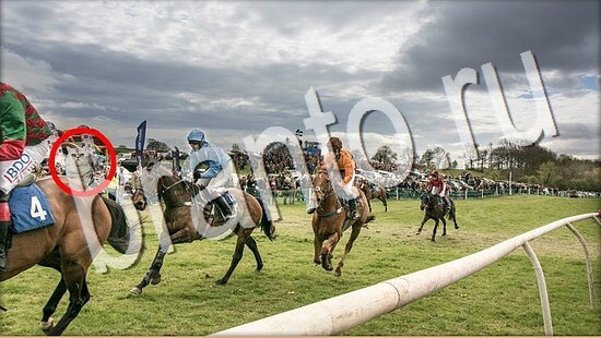 игра в одноклассниках Где же кот ответы Уровень 8070