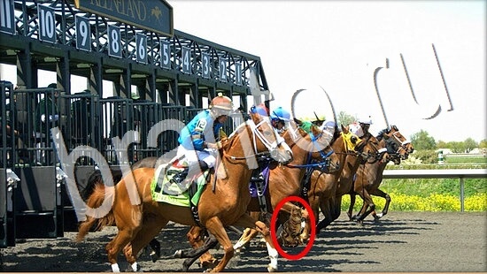 ответы на игру Где же кот в скриншотах Уровень 8072