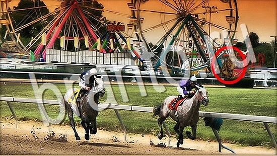 решения на игру Где же кот Уровень 8075