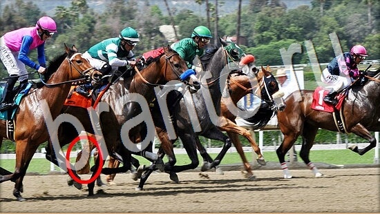 ответы на игру Где же кот Уровень 8076