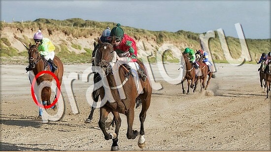 помощь на игру Где же кот Уровень 8078