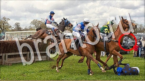 Где же кот игра ответы Уровень 8080