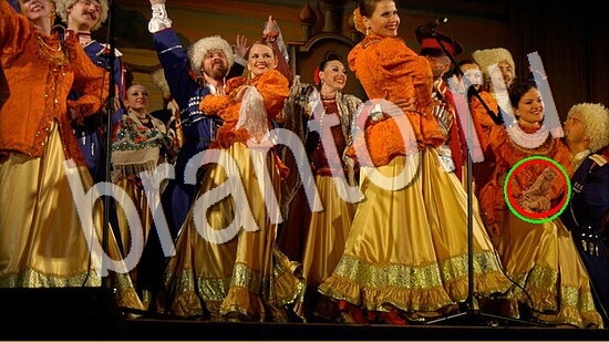 Где же кот игра ответы в одноклассниках Уровень 7967