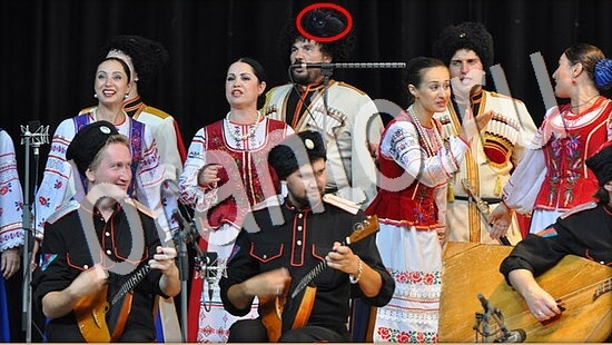 Где же кот? решения Уровень 7972