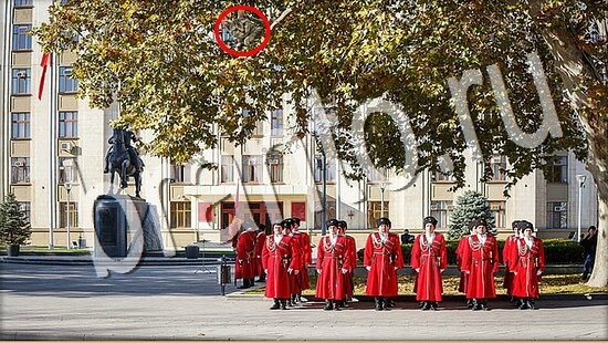 Где же кот? ответы Уровень 7968