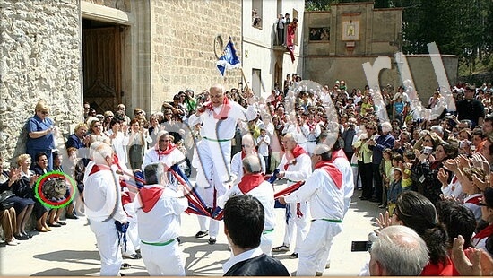 ответы на игру Где же кот Уровень 7961