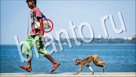 помощь на игру Где же кот Уровень 7998