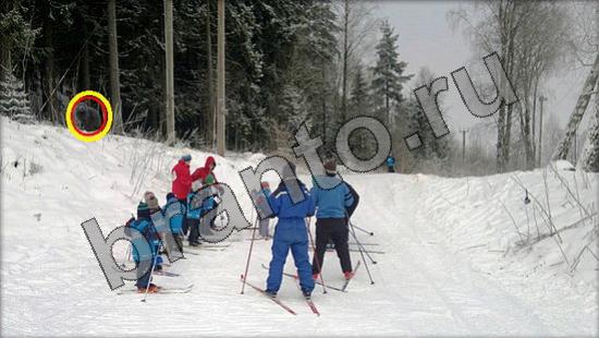 Помощь на игру Где же кот Уровень 844