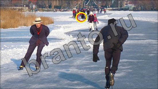 ответы к игре Где же кот Уровень 845