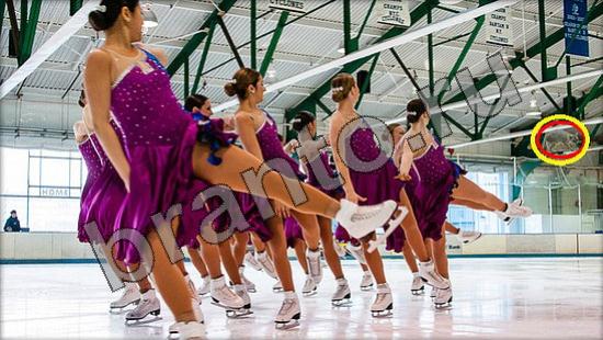 ответы на игру в одноклассниках Где же кот Уровень 846