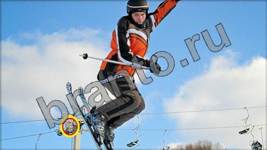 Игра Где же кот ответы Уровень 857