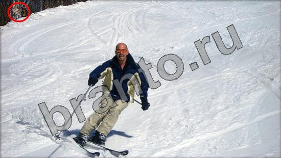 Игра Где же кот подсказки Уровень 858