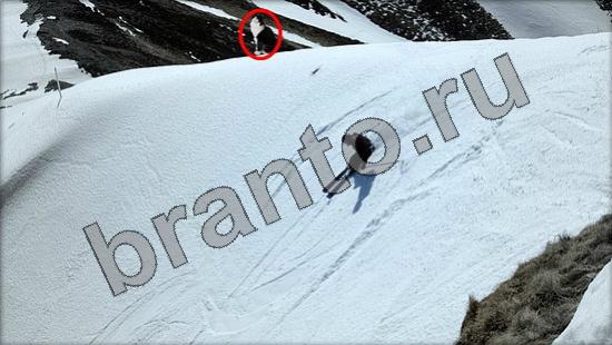 Игра Где же кот прохождение Уровень 860