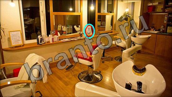 ответы Где же кот? в одноклассниках Уровень 866