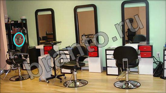 Где же кот помощь в картинках Уровень 871