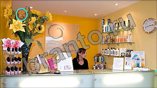 Где же кот ответы на новые задания Уровень 873