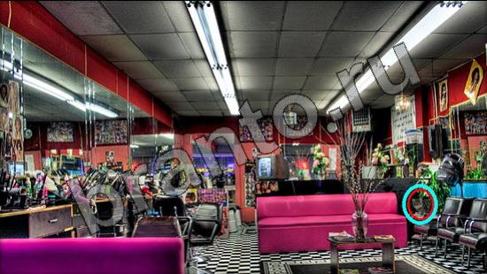 ответы на игру Где же кот Уровень 874