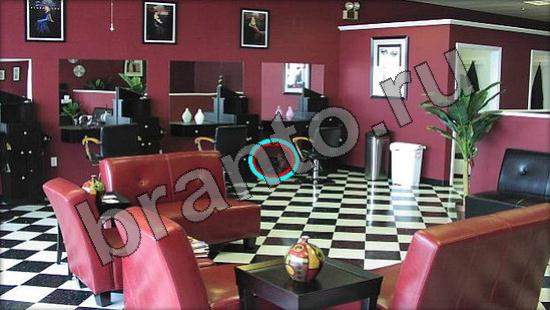 ответы на игру Где же кот Уровень 875