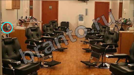 помощь на игру Где же кот Уровень 878