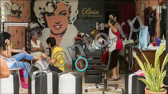 Где же кот игра ответы Уровень 880