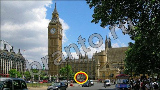 Решения на игру Где же кот Уровень 883