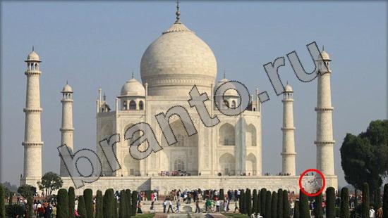 Помощь на игру Где же кот Уровень 884