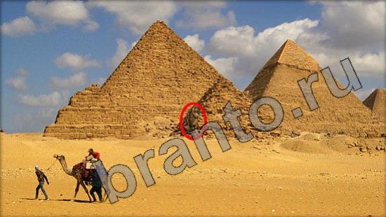 решебник на игру Где же кот Уровень 891