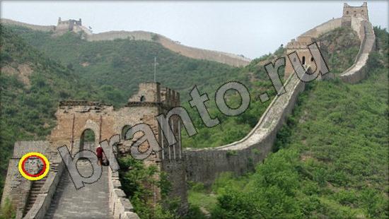 Где же кот? решения Уровень 892