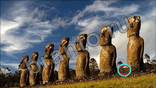 Где же кот игра подсказки Уровень 894