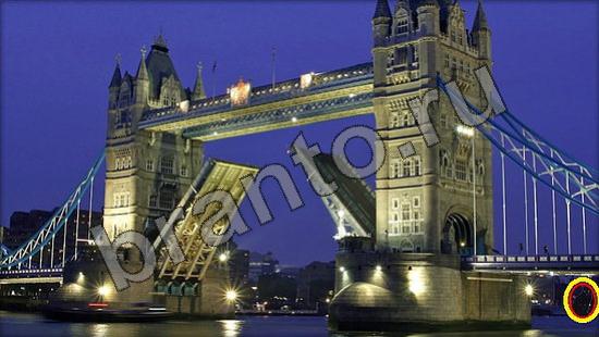 Игра Где же кот ответы Уровень 897