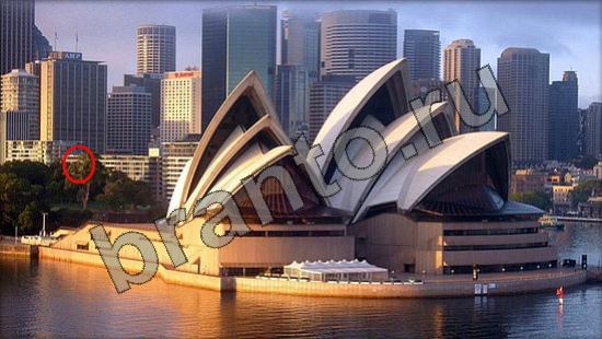 Игра Где же кот прохождение Уровень 900