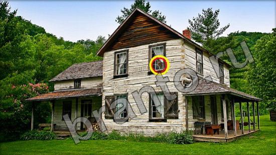 Где же кот прохождение игры Уровень 902