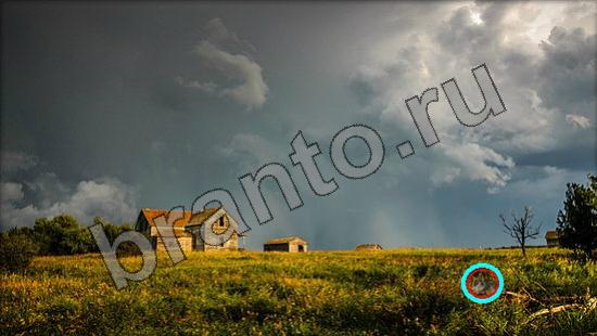 ответы на игру Где же кот в одноклассниках Уровень 903