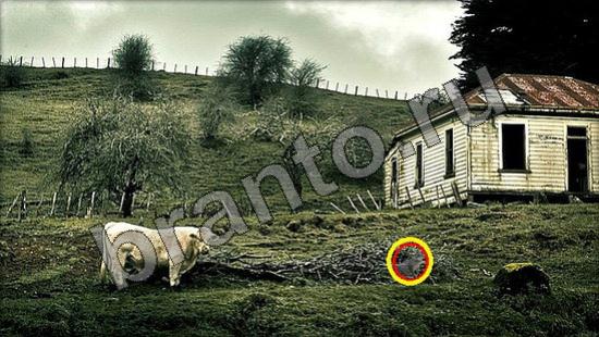 Прохождение игры Где же кот Уровень 904