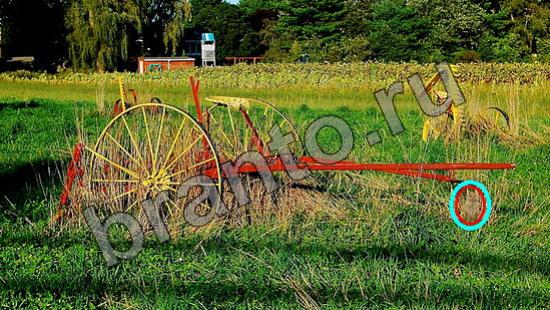 ответы для игры Где же кот Уровень 907