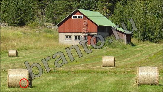 игра в одноклассниках Где же кот ответы Уровень 910