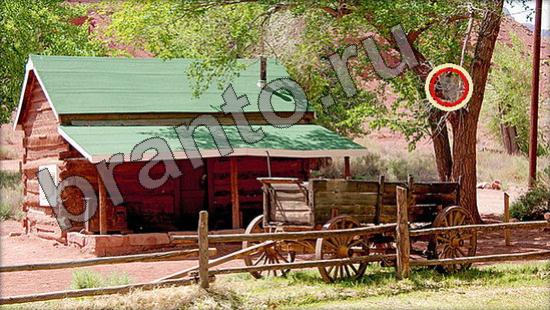 Где же кот игра ответы Уровень 920