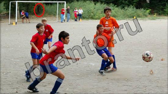 ответы на игру Где же кот Уровень 921