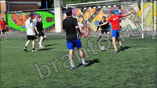 Помощь на игру Где же кот Уровень 924