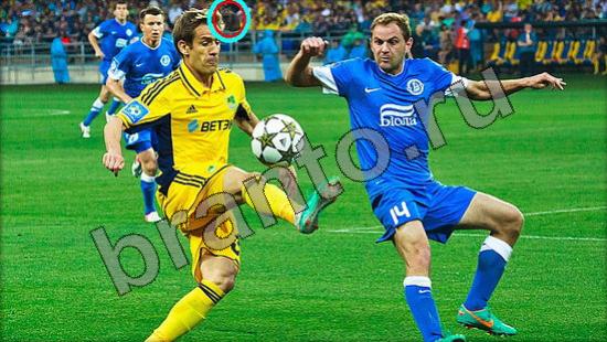 ответы на игру в одноклассниках Где же кот Уровень 926