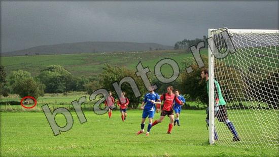 Где же кот игра ответы в одноклассниках Уровень 927