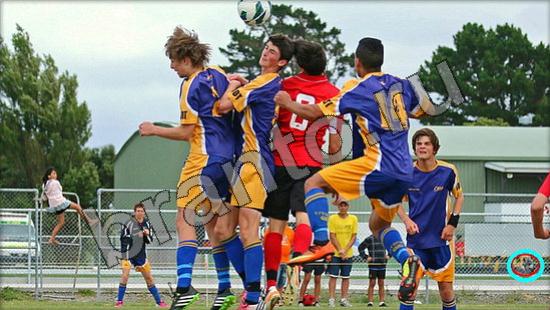 Где же кот? помощь Уровень 930