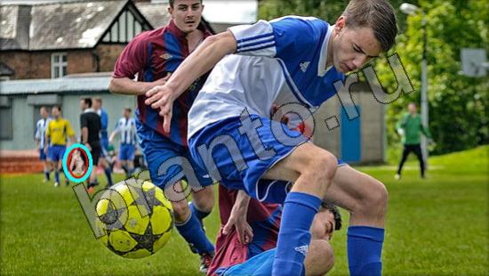 Где же кот? решения Уровень 932